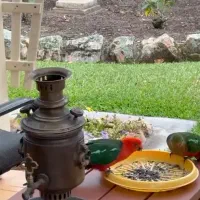 چمن زنی با دستگاه درجه یک وکلیه خدمات باغچه وگل و
