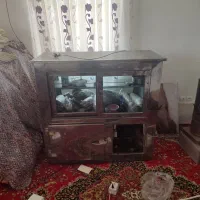 یخچال ویترینی