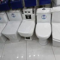 انواع فرنگی کرد مروارید اماتیس