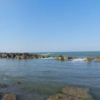 فروش یا معاوضه زمین در دستک