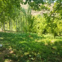 باغ|فروش خانه و ویلا|منجوان, |دیوار