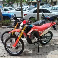 باسل 250 توسن خشک 405