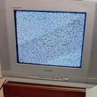 تلوزیون