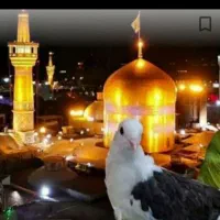 کاروان زیارتی مشهد مقدس