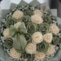 گل ربانی