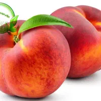 نیروی آقابرای میوه فروشی