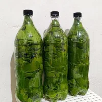 برگ انگور بهداشتی