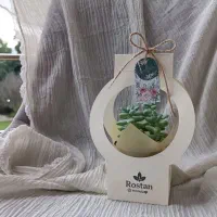 کاکتوس طبیعی با بسته بندی خاص مناسب هدیه