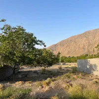 فروش زمین در دهبکری