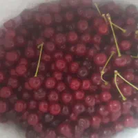 فردش البالو