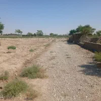 زمین-باغی