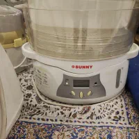بخار پز سانی