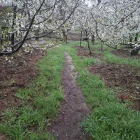 زمین-ویلایی