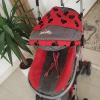 BeBetoto