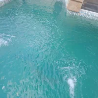 جاروی استخر