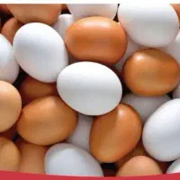 تخم مرغ اردک اسرایلی