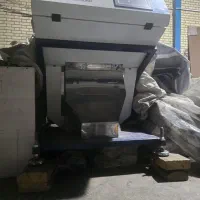 کالرسورت