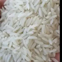 برنج درجه ۱ شفت،هاشمی ودم سیاه (صدری)