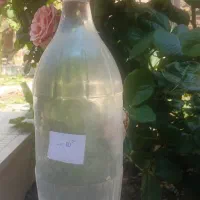عرقیجات گلاب خانگی