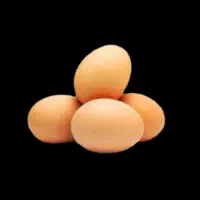 تخم نطفه دار محلی ، گوشتی راس، بوقلمون