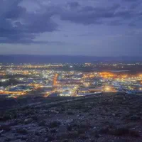 کارگر مرغداری