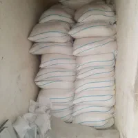 نمک دریا