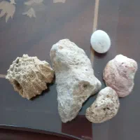 تعدادی عتیقه