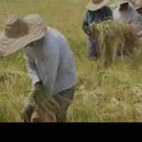 سرکارگر هستم با 30نفر کارگر