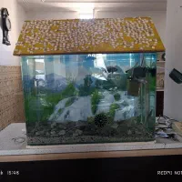 آکواریوم شیشه خم کارخانه ای