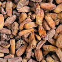 خرمای پیارم بی هسته درجه یک