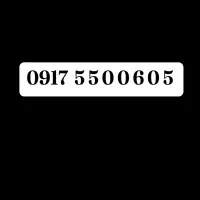 0917-5500605