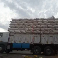 خریدوفروش کاه