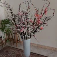 گلدان و شکوفه گیلاس خارجی