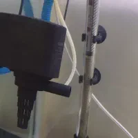 آکواریوم|ماهی|کرج, گلستان|دیوار