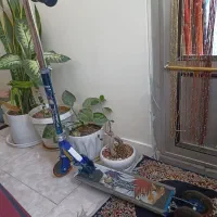 اسکوتر المینیوم خارجی