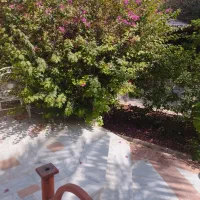 اجاره مغازه، 9 متری، بر خیابان اصلی مولوی