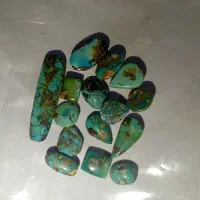 فیروزه نیشابوری کد 005