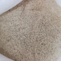 برنج هاشمی درجه یک