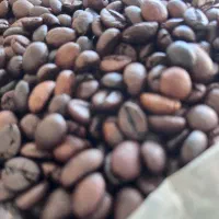 قهوه به قیمت عمده فروشی