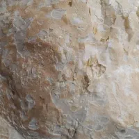 نون تیری
