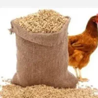 خوراک مرغ/دان مرغ /خوراک دام