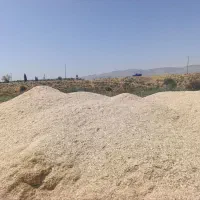 کاه گلرنگ