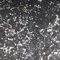 کمپوست قارچ برا تقویت کشاورزی