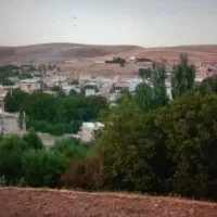 زمین دیم