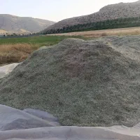 کاه یونجه|خدمات باغبانی و درختکاری|نورآباد ممسنی, |دیوار