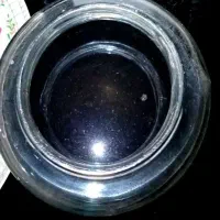 جیوه