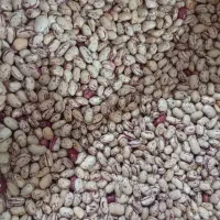 لوبیا چیتی|خوردنی و آشامیدنی|قصابه, |دیوار