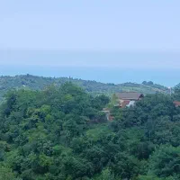 فروش-زمین-900متری-اربکله