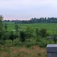 اجاره-یک-باغچه-برای-رستوران
