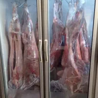 گوشت گرم  پایتخت